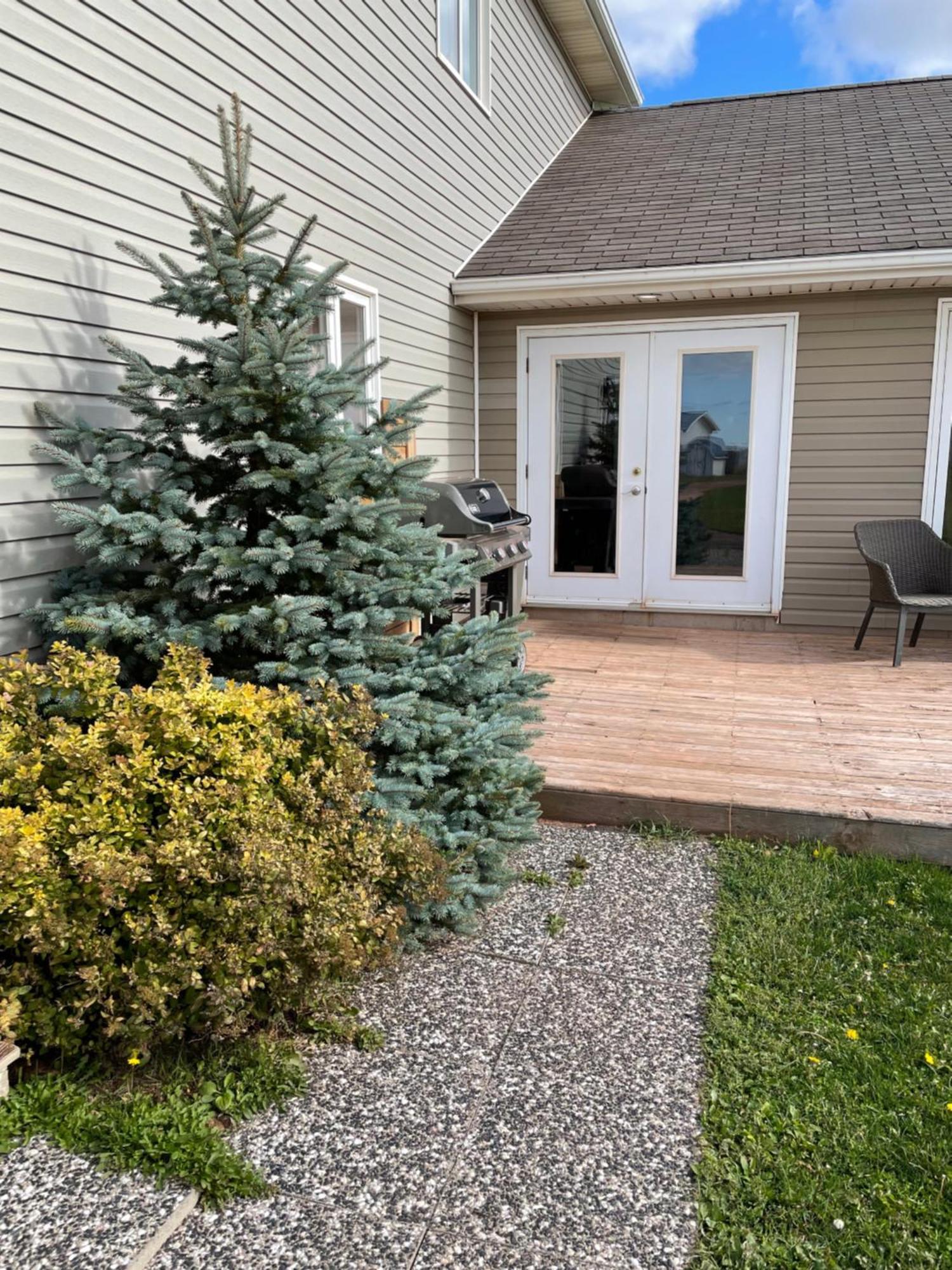 Pei Cottage Rental Borden-Carleton エクステリア 写真